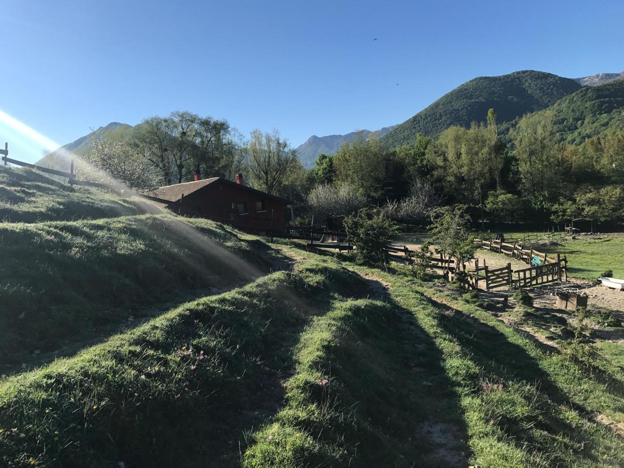 奥皮La Fattoria Di Morgana别墅 外观 照片
